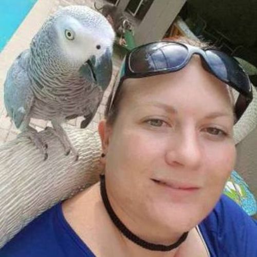 Pet Care Provider Melissa A's Profile Picture