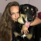 Skilled Dog Sitter for Hire