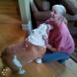 Professional loving care for your pets in their home.