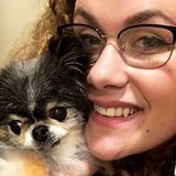 Huntsville Dog Sitter Seeking Being Hired