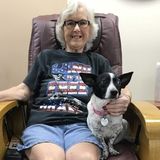 Skillful Dog Sitter in Dacula, Georgia