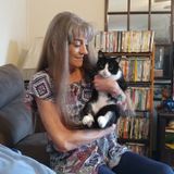 Houskeeper/Sitter flexible an trustworthy. Petsitter exp in petcare an love of all animals.