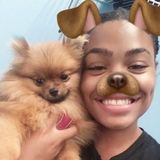 My name is Cynthia Jones and I am studying Pre Veterinarian at IUP . I offer Dog sitting , walking and sleepovers
