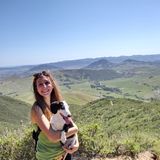 Energetic, upbeat pet sitter and dog walker!