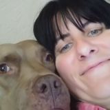 For Hire: Knowledgeable Pet Sitter in North Port, Florida