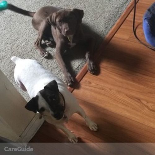 Pet Care Job Crystal Ingram's Profile Picture