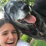 Available: Caring Dog Sitter in Lawrence, Kansas