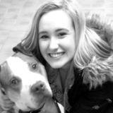 Pet Sitter