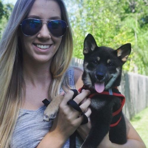 Pet Care Provider Ally Cooke's Profile Picture
