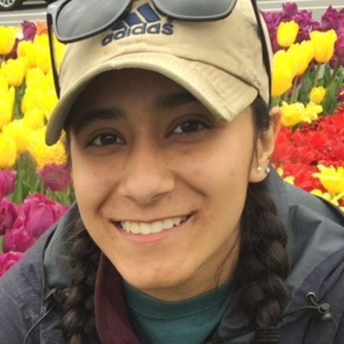 Tutor Provider Faiza K's Profile Picture