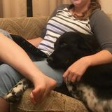 Let me love your pets!