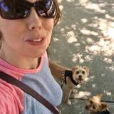 Caring House Sitter/Pet Sitter
