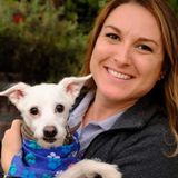 Customized Pet Care in your Home by a Professional Pet Sitter
