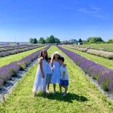 Looking for a part time nanny to help out with four kind children!