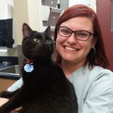 Pet sitter, dog walker and animal lover