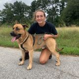 Reliable Pet Sitter Available Immediately