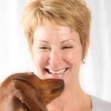 Dog walking/pet sitting/feeding