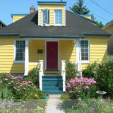 Experienced Painter in Kingston,ON