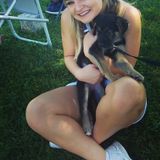 Reliable Dog Walker/Pet Sitter in Nazareth, Pennsylvania