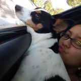 Loving Pet Sitter