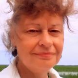 Conscientious House sitter available today.