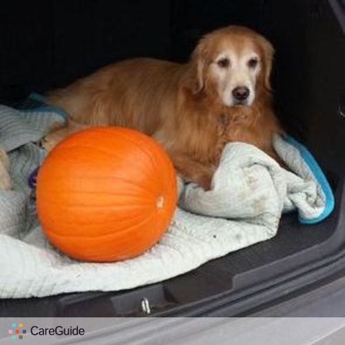 Pet Care Job Sherry A's Profile Picture
