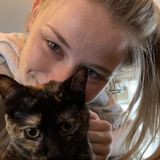Elwood Pet Groomer Seeking Being Hired in Illinois