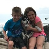 Nanny or Au Pair for school aged kids!