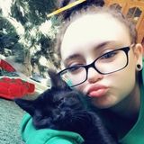 For Hire: Wonderful Dog Sitter in Vernon Rockville, Connecticut
