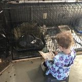 Any and all animal lover!