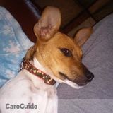 Sweet puppy needs a sitter!