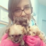 Young, committed and responsible pet-sitter