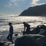 Looking for after school help in River Heights