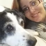 Compassionate, careful pet sitter to love your fur babies like my own!