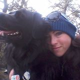 Responsible House Sitter in Campbell River and seeking House sitting for July/August / Fall Past pet sitter, dog walker