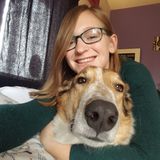 Skilled Pet Trainer in Nazareth, Pennsylvania