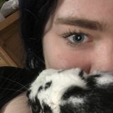 Rabbit and small animal sitter