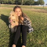 For Hire: Passionate Dog Sitter and someone to take care of the animals and prove to any needs they have!
