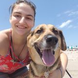 Available For Jupiter and Palm Beach Gardens House and Pet Sitting Opportunities