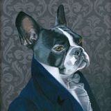 Luxury House & Pet Sitting