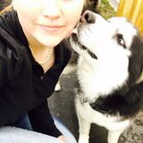 Excellent pet care provider available today