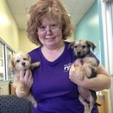 Wonderful Pet Trainer in Conroe