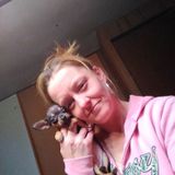 Bay City House and Petsitter Available For Job Opportunities