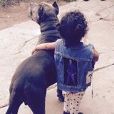 Port Hueneme Pet Carer Looking For Job Opportunities in California