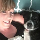 Interviewing For a Pet Care Provider Job in Thornton