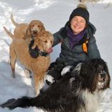 Active, reliable and dog loving retiree would be happy to walk and play with your dog while you are away