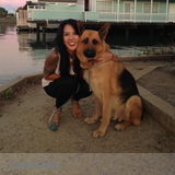 Happy Paws Dog Care