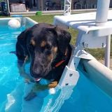 Present House and Petsitter in Braidwood, Illinois