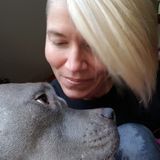 Dedicated Dog Walking Available Now!