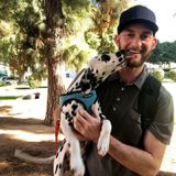 Certified Professional Dog Training/Pet Care in Los Angeles, California